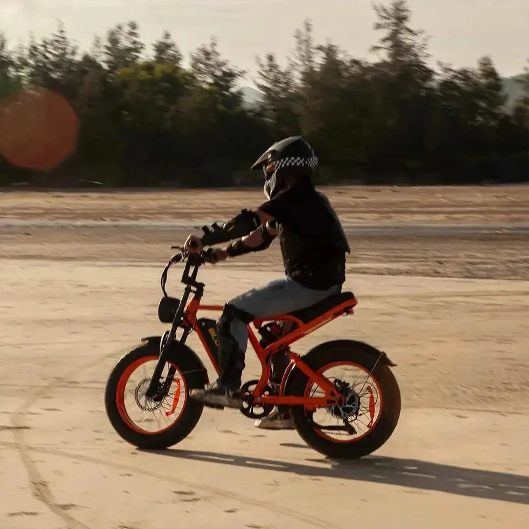 Bluvall SU8 Electric Bike