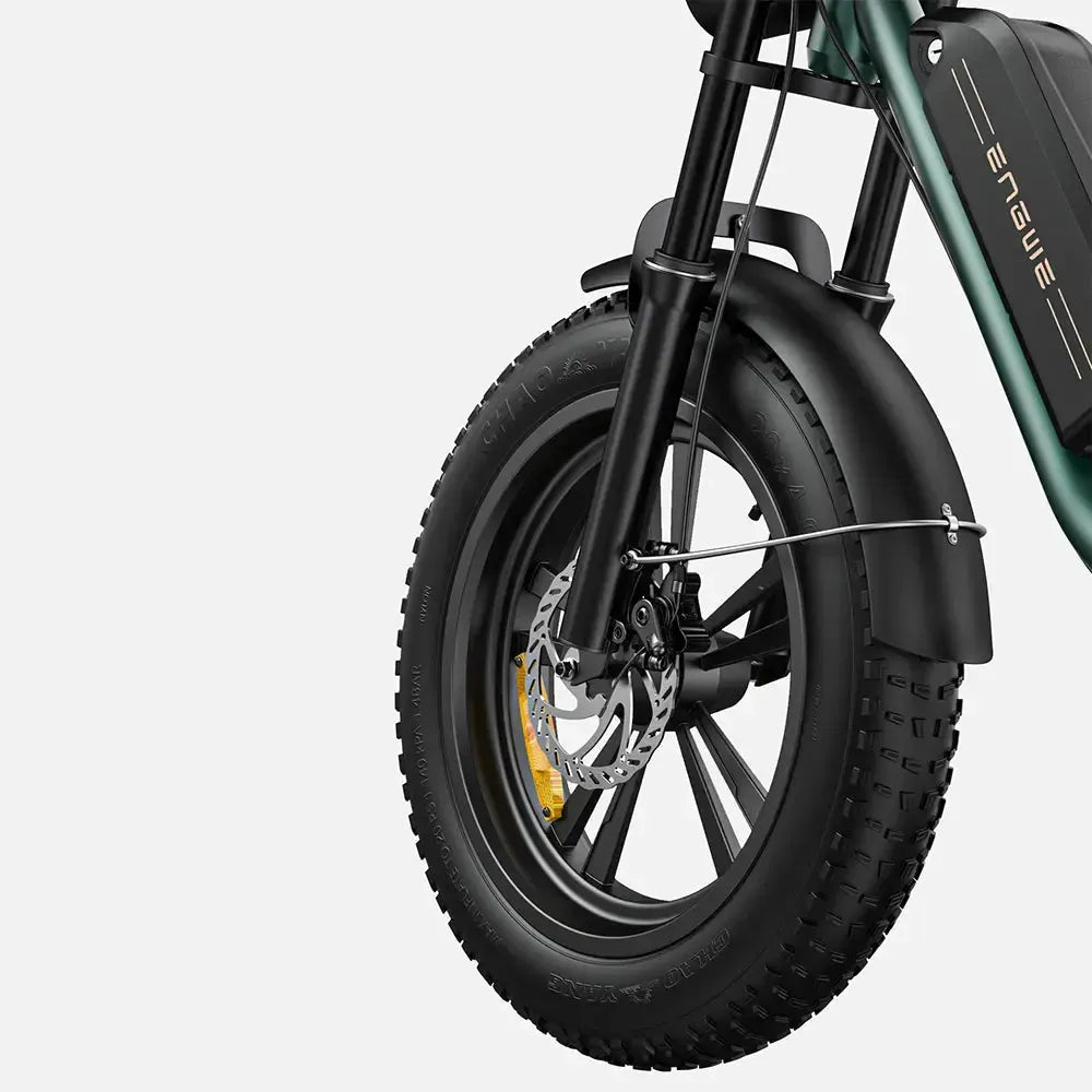 Engwe M20 Dual-Battery Electric Bicycle