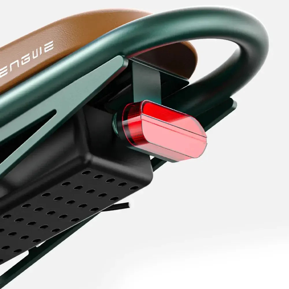 Engwe M20 Dual-Battery Electric Bicycle