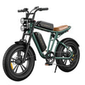 Engwe M20 Dual-Battery Electric Bicycle