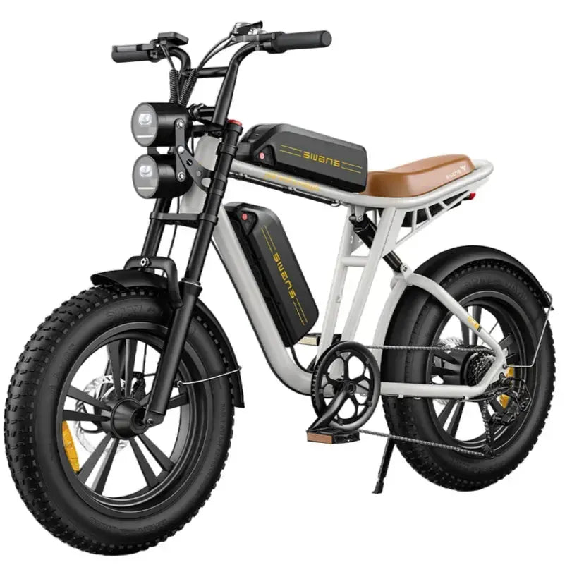 Engwe M20 Dual-Battery Electric Bicycle