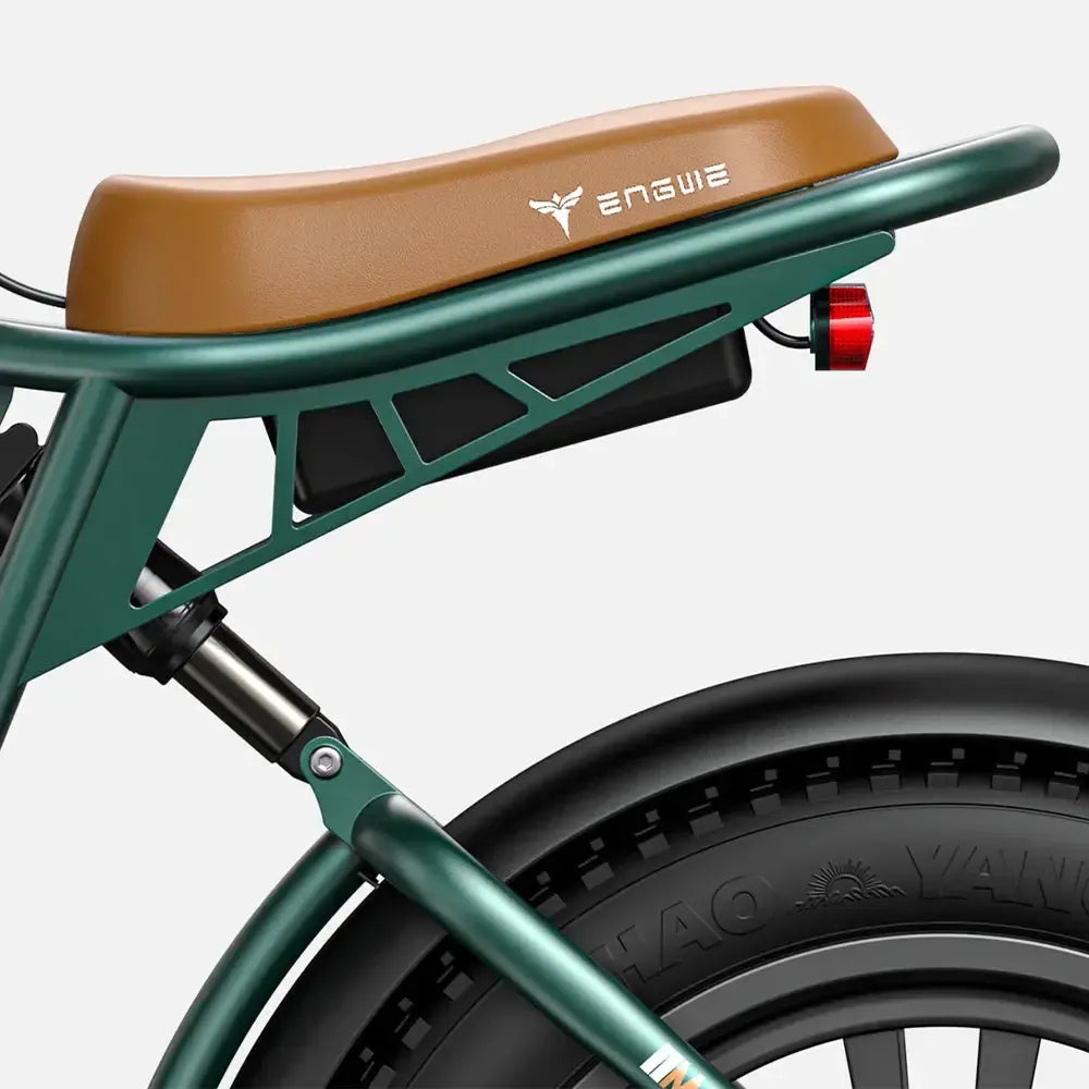 Engwe M20 Dual-Battery Electric Bicycle