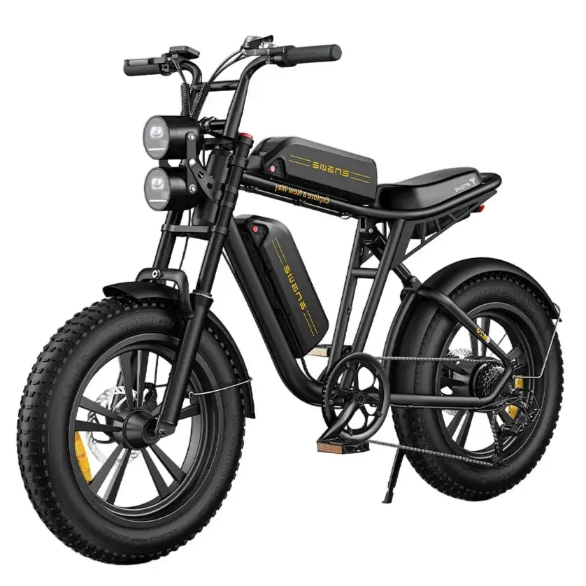 Engwe M20 Dual-Battery Electric Bicycle
