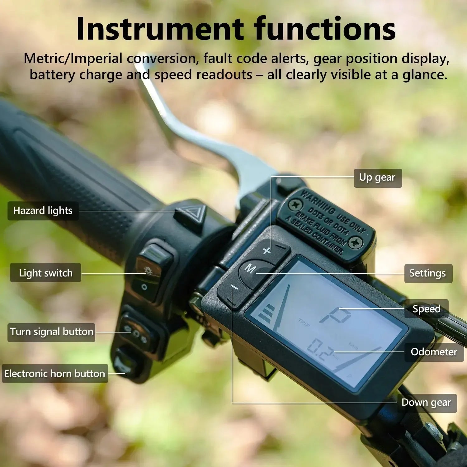 VIPCOO H3 Dirt Electric Bike